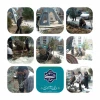 کاشت نهال ، گلدان و درختچه تزیینی در هفته درختکاری، یادبود شهید گمنام آرمیده در آموزشکده دختران کرج
