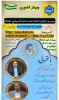 بررسی و بازبینی اندیشه امام خمینی(ره) درباره دانشگاه