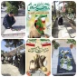 غبارروبی و زیارت شهدای گلزار امامزاده محمد کرج  به مناسبت گرامیداشت هفته دفاع مقدس