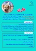 6 مهر روز جهانی هاری - مراکز واحدهای مراقبت و پیشگیری از هاری در استان البرز 5