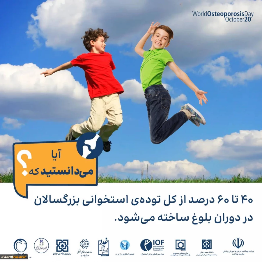 راهنمای جامع پوکی استخوان 3