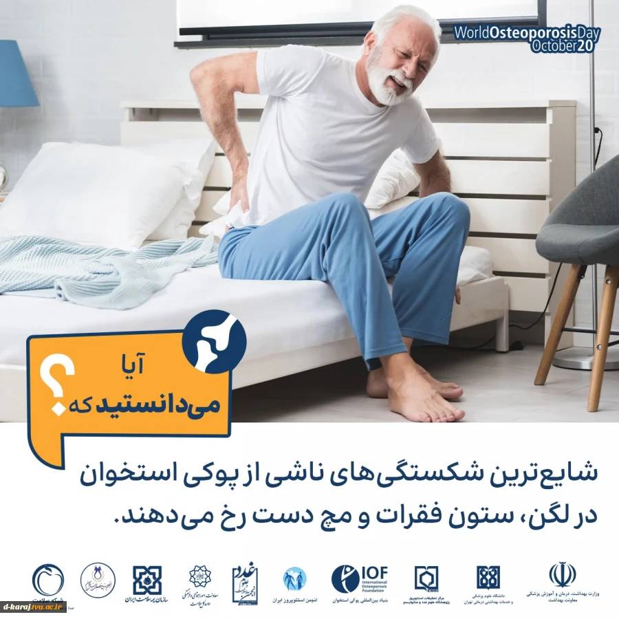 راهنمای جامع پوکی استخوان 13