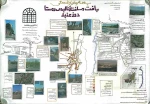 دانشجویان استاد نجار مجرب
