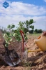 معصومه یکه فلاح
