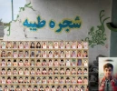 نرگس سلگی کامپیوتر